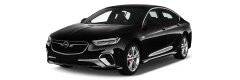 Покраска порогов Opel Insignia